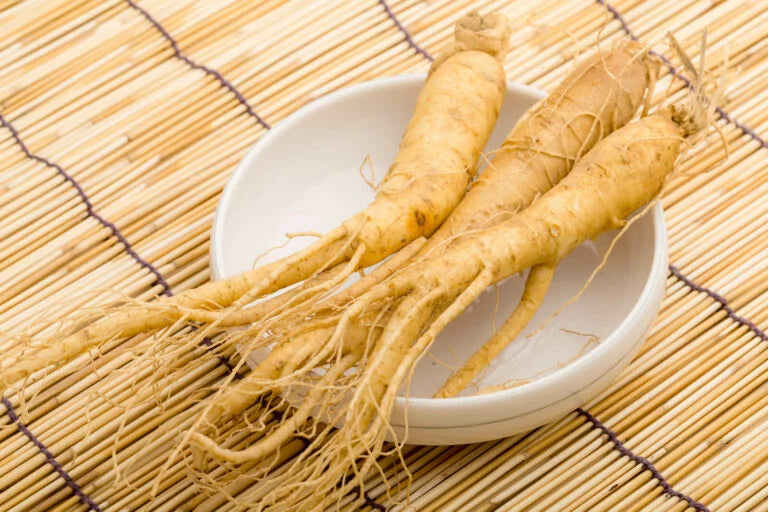 Korean Red Ginseng Extract